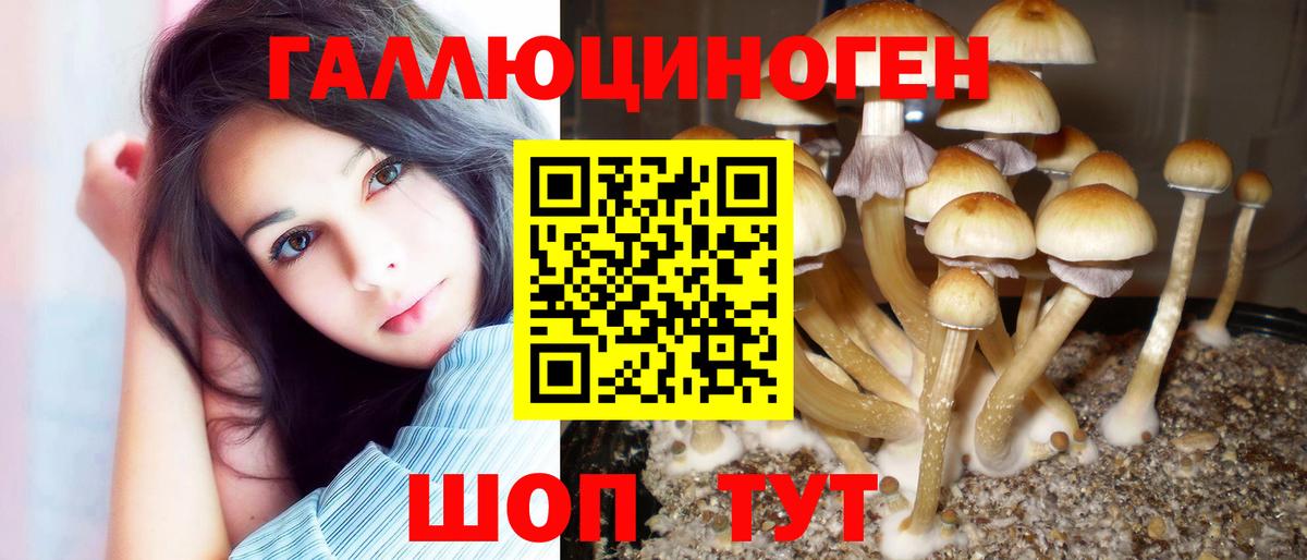 Псилоцибиновые грибы Psilocybine cubensis  Вход с VPN  Жигулёвск  Галлюциногенные грибы Magic Shrooms 