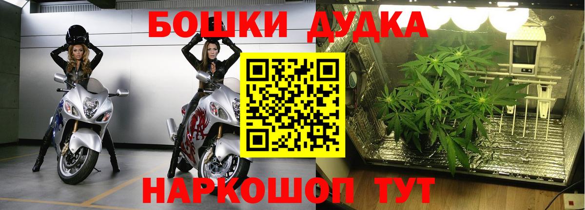 Каннабис Amnesia Жигулёвск